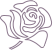 A purple rose is shown in this image.