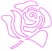 A pink rose is shown on the black background.